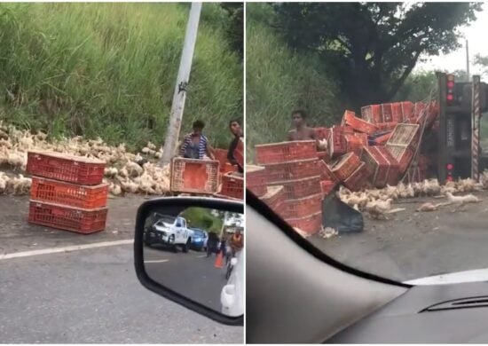 Caminhão com galinhas tomba e carga vira almoço de moradores no RJ - Foto: Reprodução/Twitter@o_verdoso