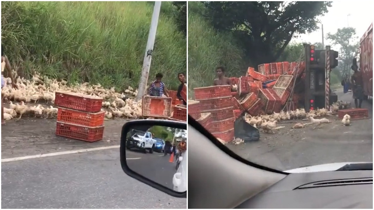 Caminhão com galinhas tomba e carga vira almoço de moradores no RJ - Foto: Reprodução/Twitter@o_verdoso