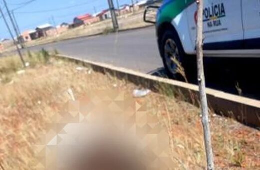 Crânio estava em um galho de árvore seca na zona Oeste de Boa Vista — Foto: PM/Divulgação