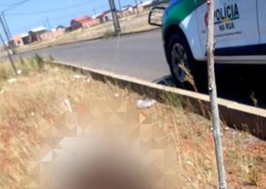 Crânio estava em um galho de árvore seca na zona Oeste de Boa Vista — Foto: PM/Divulgação