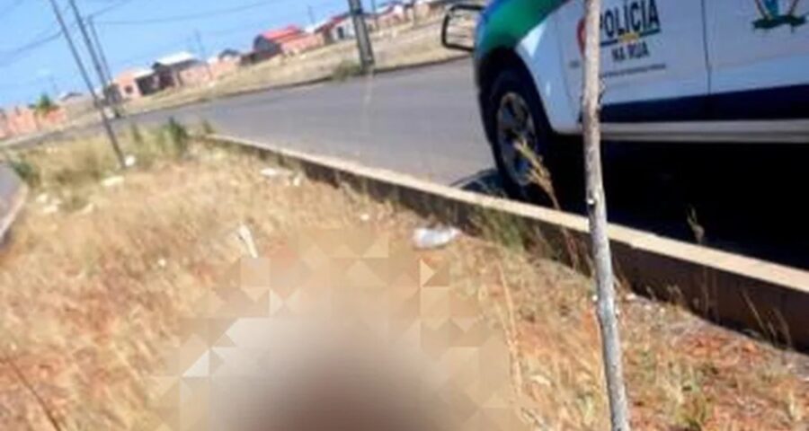 Crânio estava em um galho de árvore seca na zona Oeste de Boa Vista — Foto: PM/Divulgação