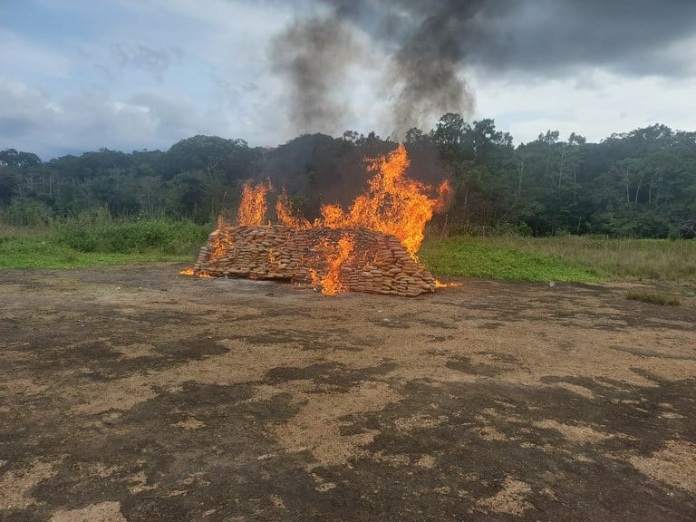 Polícia Federal apreendeu mais de 2 toneladas de drogas no Amazonas - Foto: Divulgação/PF