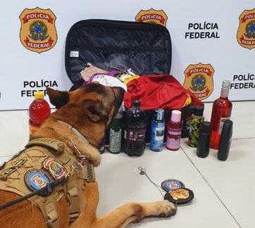 Tráfico de Drogas Os exames preliminares realizados pelos policiais confirmaram a droga. - Foto: Divulgação/PF