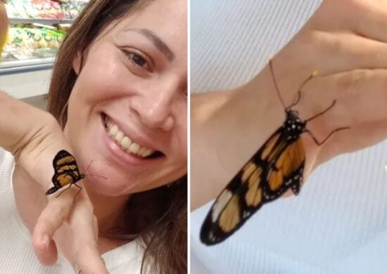 borboleta pousa em mulher