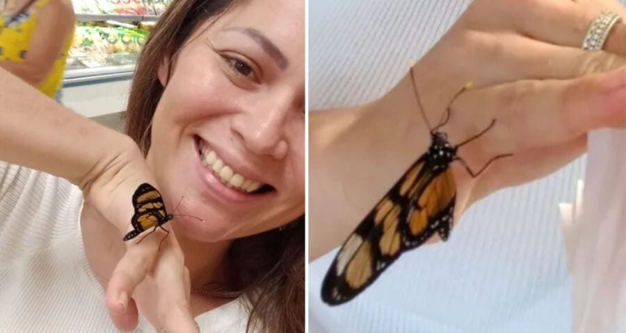 borboleta pousa em mulher