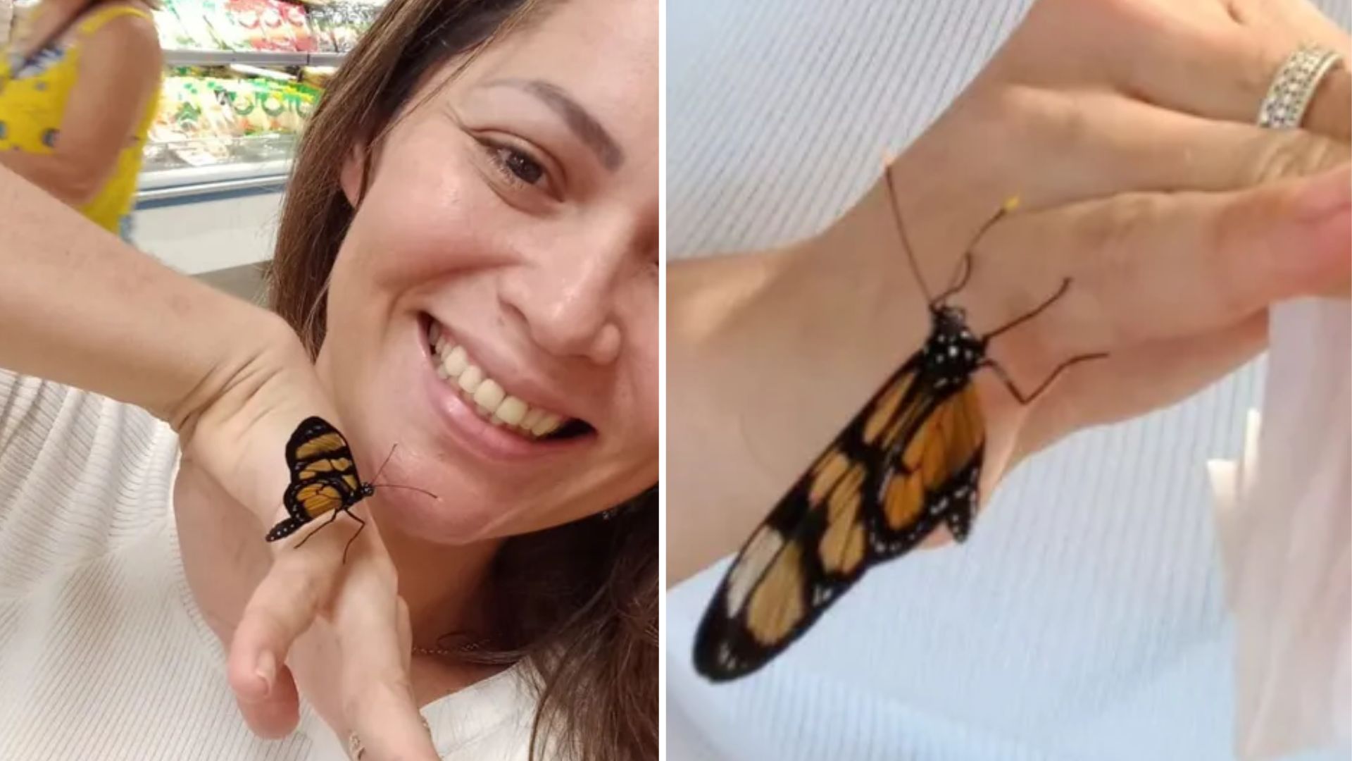 borboleta pousa em mulher