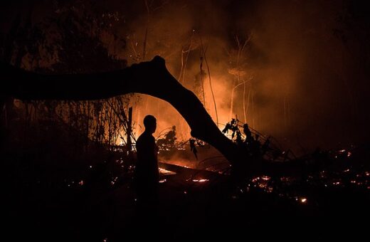 Medida sobre estado de emergência para combater queimadas na Amazônia entre em vigor no dia 14 de março - Foto: Wikimedia Commons/Bruno Kelly/Amazônia Real