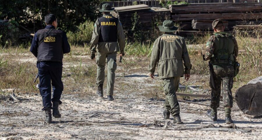 Fiscalização do Ibama contra crimes ambientais - Foto: Fernando Augusto/Ibama