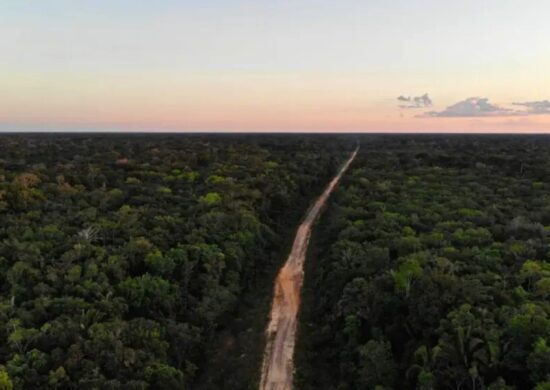 Funai proíbe acesso à área indígena