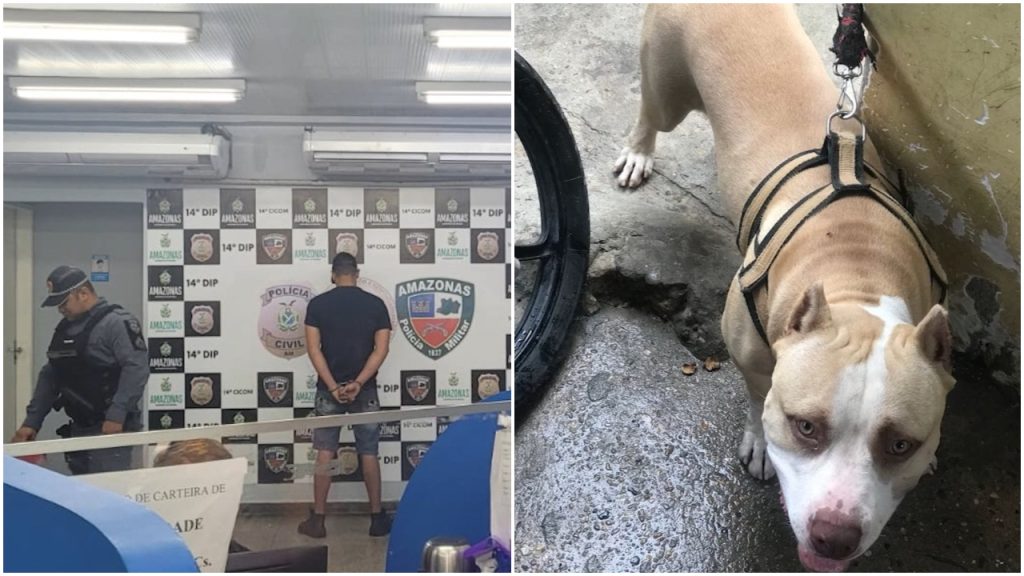 Homem mata cachorro da raça pitbull esfaqueado na Zona Leste de Manaus