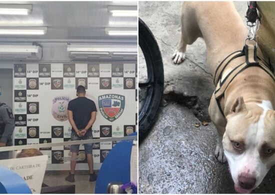 Homem mata cachorro da raça pitbull esfaqueado na Zona Leste de Manaus