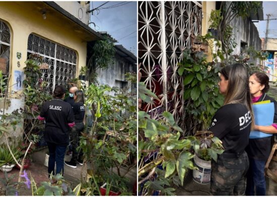 Mulher é presa por maltratar a própria mãe idosa e gatos em Manaus