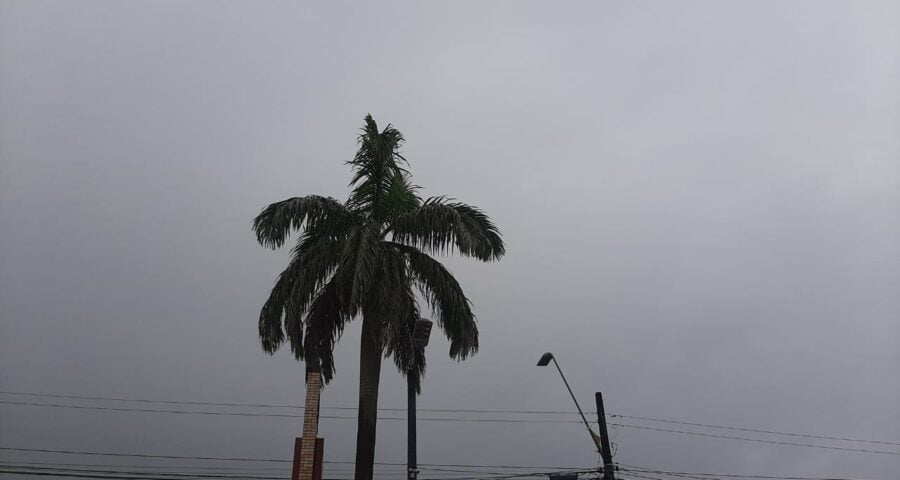 Previsão do tempo em Manaus