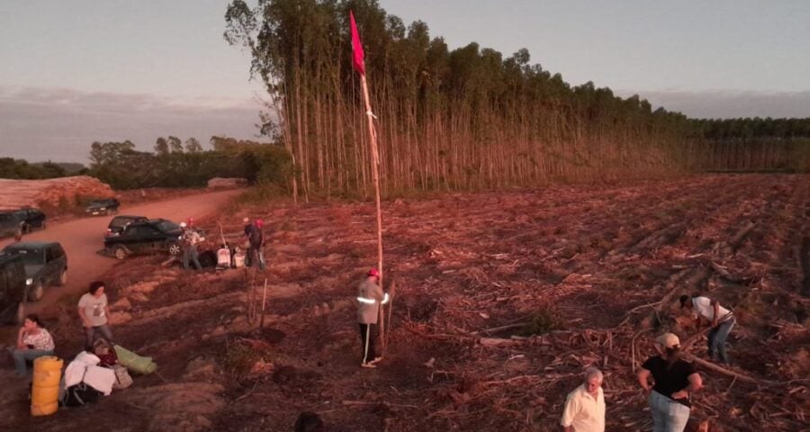 Conflito entre MST e Suzano começou com invasão do movimento na segunda (27) - Foto: Divulgação/Coletivo de Comunicação do MST na Bahia