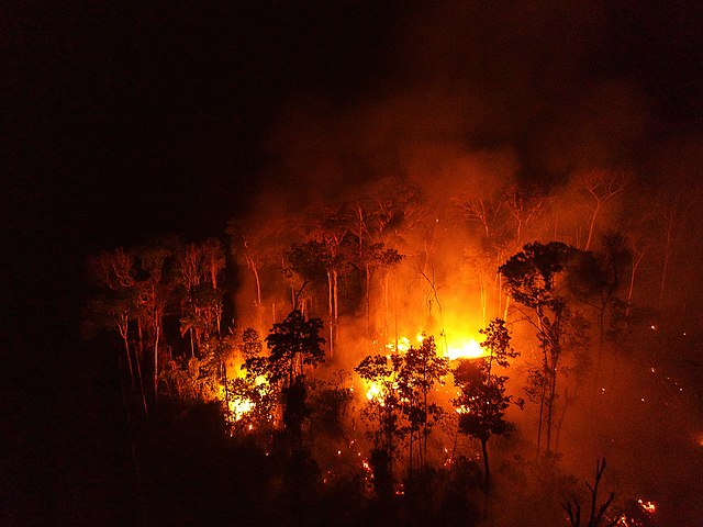 queimadas-Foto-Bruno Kelly-Amazônia Real-2020