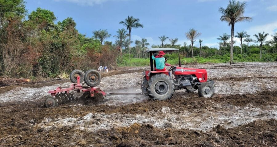 Programação visa promover ações de cultivo do abacaxi - Foto: Divulgação/Idam