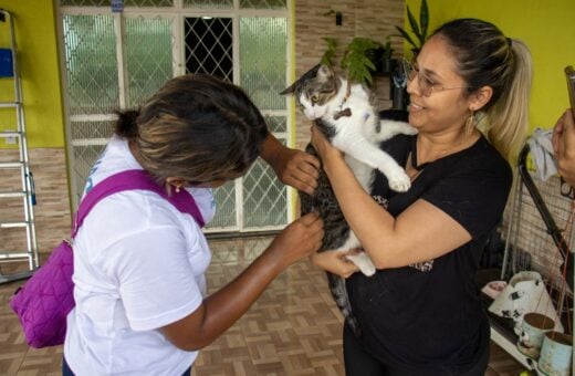 Castração de gatos e vacinação vão ocorrer no período de 20 a 24 de março - Foto: Divulgação/Semsa