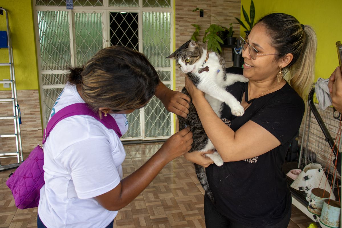 Castração de gatos e vacinação vão ocorrer no período de 20 a 24 de março - Foto: Divulgação/Semsa