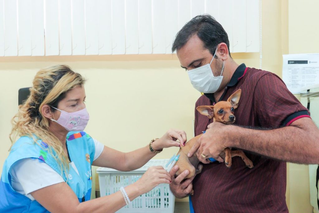 Prefeitura de Manaus realiza vacinação antirrábica - Foto: Divulgação/Semsa