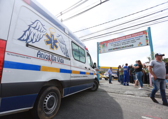 Creches e escolas foram os principais alvos de ataques no país - Foto: Reprodução/Canva