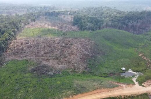 Áreas desmatada no Acre- Foto: Agência Acre