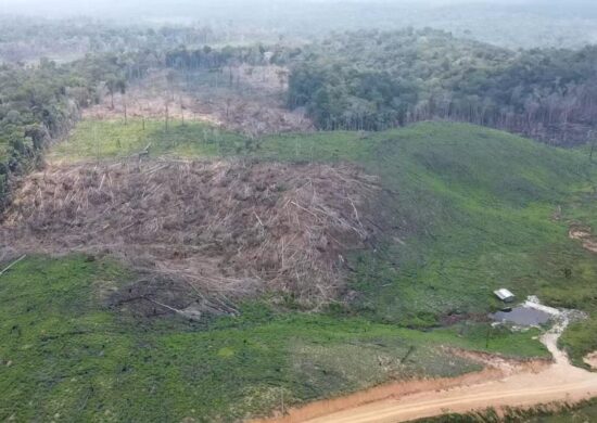 Áreas desmatada no Acre- Foto: Agência Acre