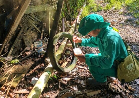 Principal meio de combater a dengue é eliminar focose de criadouros do mosquito transmissor - Foto: Divulgação/FVS-RCP