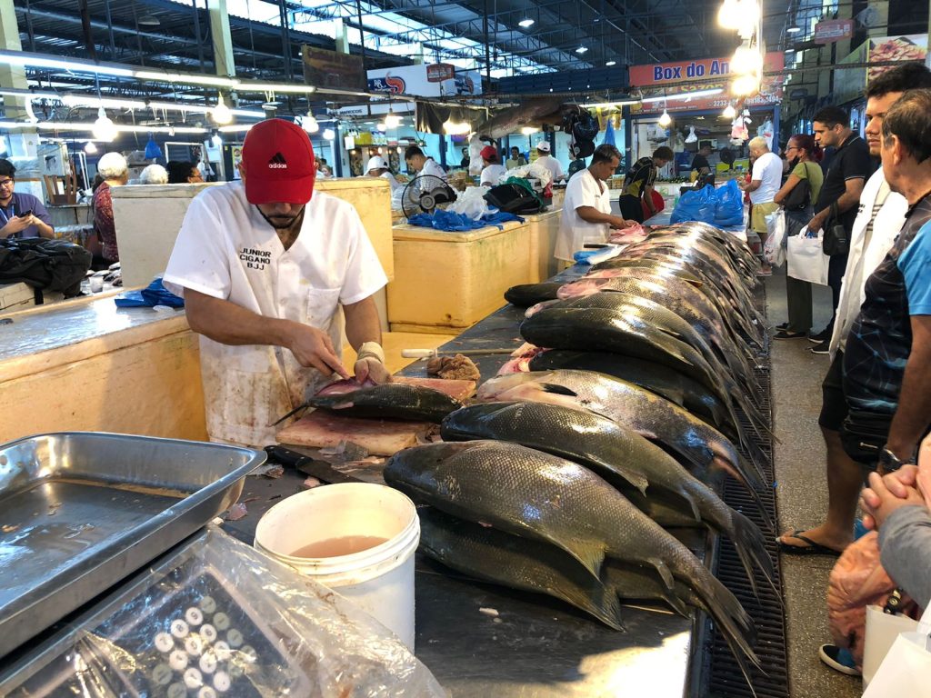 Feirante tratando o peixe na Feira da Manaus Moderna no Centro da Capital - Foto: Haliandro Furtado/ Portal Norte