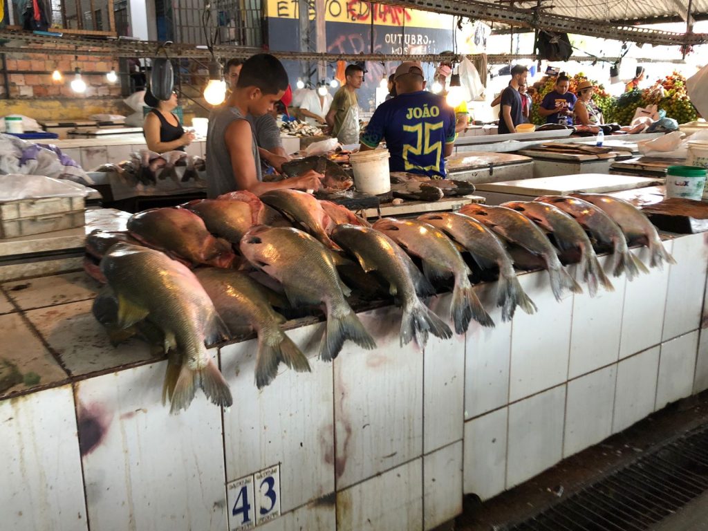 Banca de peixe na feira da Panair, no bairro Educandos, na Zona Sul de Manaus - Foto: Haliandro Furtado/ Portal Norte