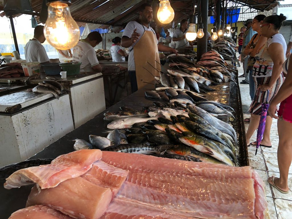 Banca de peixe na feira do produtor, na Zona Leste de Manaus - Foto: Haliandro Furtado/ Portal Norte