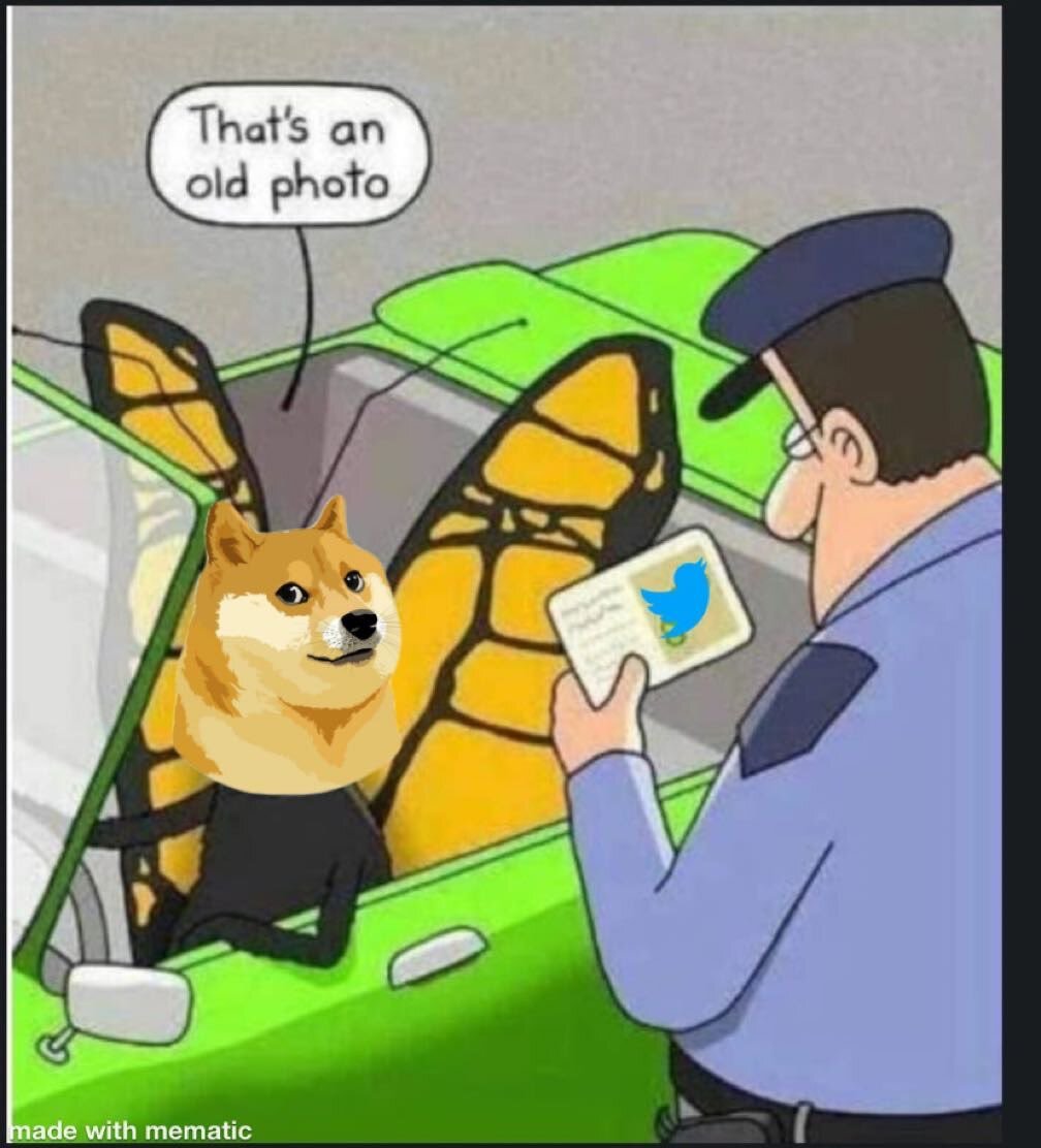 Em 2021, a Dogecoin ganhou novo destaque pelas mãos de Musk - Foto: Reprodução/Twitter/@elonmusk