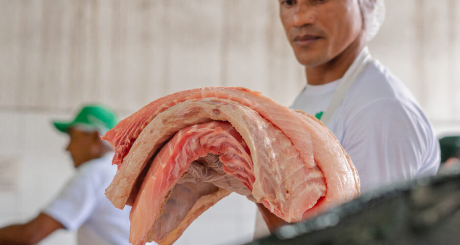 durante-semana-santa-pescados-do-manejo-sustentavel-saocomercializados-na-sede-da-fas-foto-samara-souza-fas