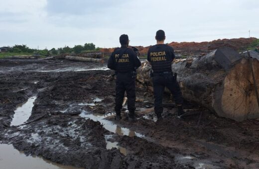 Polícia Federal apreende madeira ilegal no Pará - Foto: Reprodução/Polícia Federal