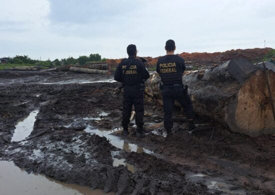 Polícia Federal apreende madeira ilegal no Pará - Foto: Reprodução/Polícia Federal