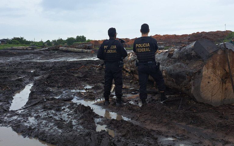 Polícia Federal apreende madeira ilegal no Pará - Foto: Reprodução/Polícia Federal