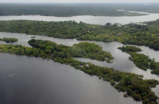 Fundo da Amazônia conta com recursos da Noruega e da Alemanha - Foto: Valter Campanato/Agência Brasil