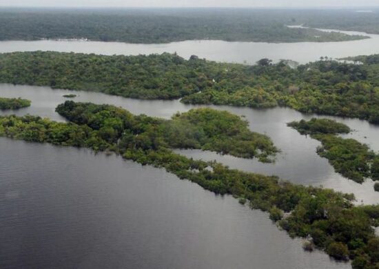 Fundo da Amazônia conta com recursos da Noruega e da Alemanha - Foto: Valter Campanato/Agência Brasil