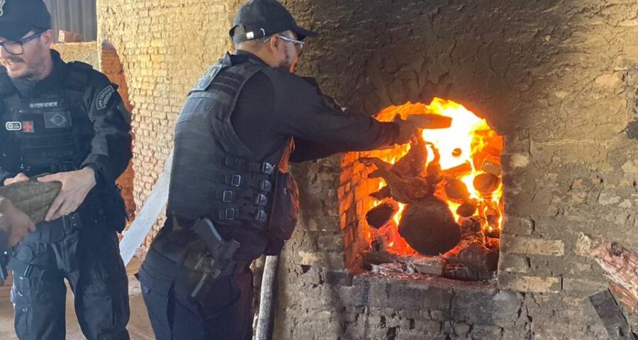 Em Dueré, Polícia Civil promove a incineração de mais de 160 kg de drogas