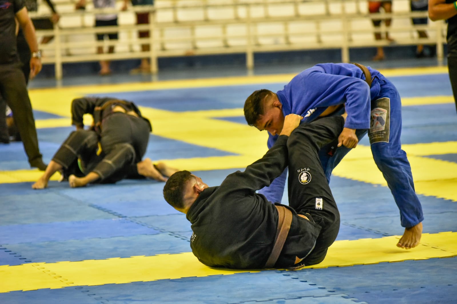 Campeonato de jiu-jitsu terá disputas nas categorias mirim, infantil, juvenil, adultos e máster - Foto: Mauro Neto/Faar