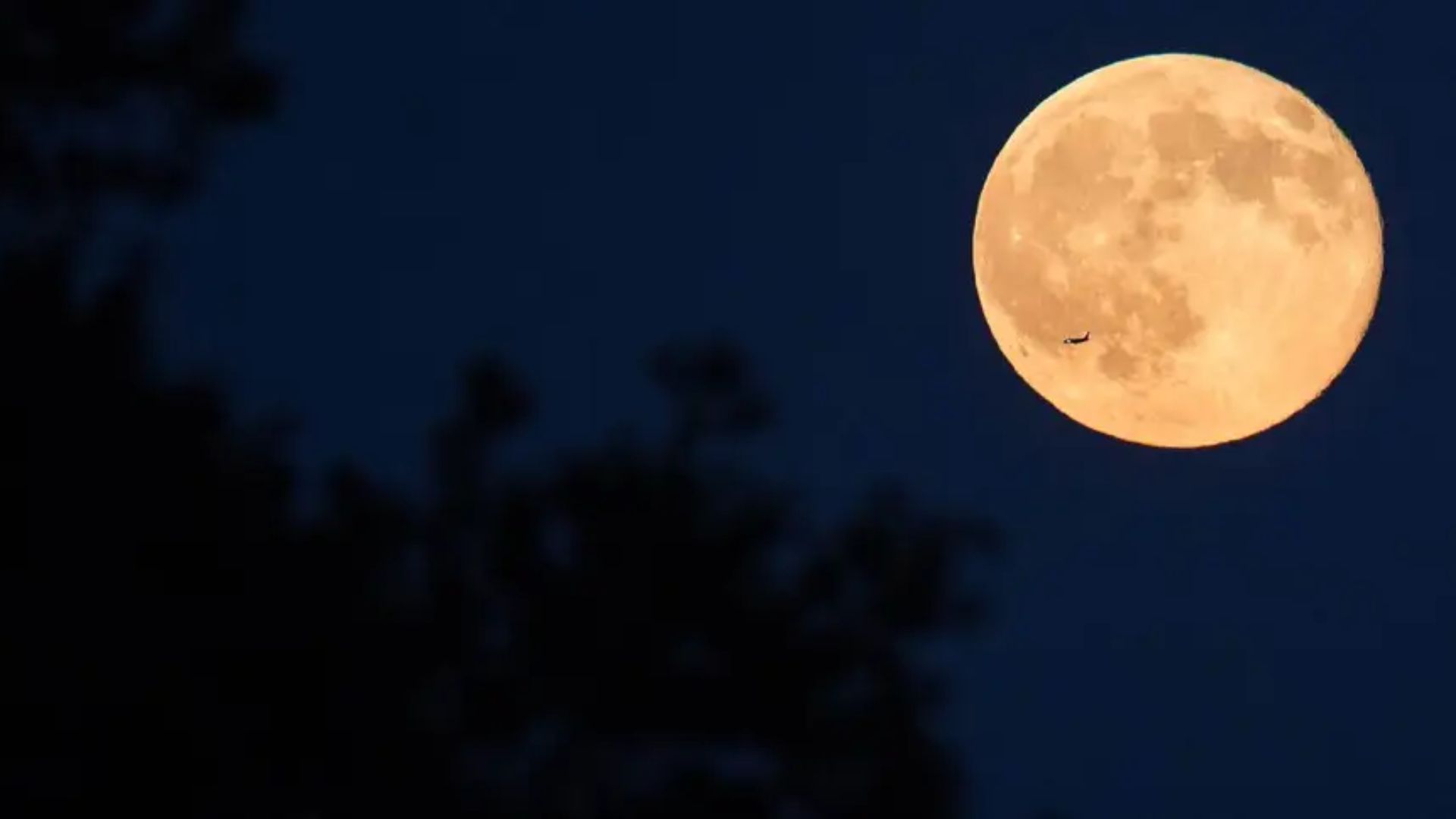 Lua Cheia Rosa poderá ser vista em todo o pais - Foto: Divulgação/NASA