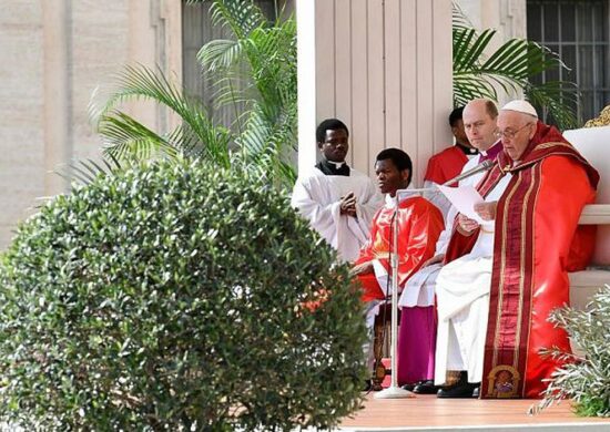 papa francisco celebra domingo de ramos