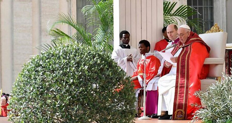 papa francisco celebra domingo de ramos