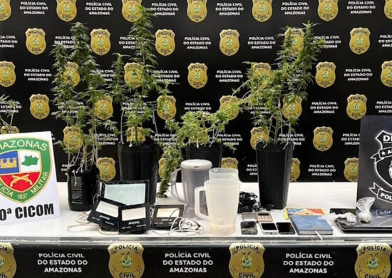 Polícia encontra plantação de maconha