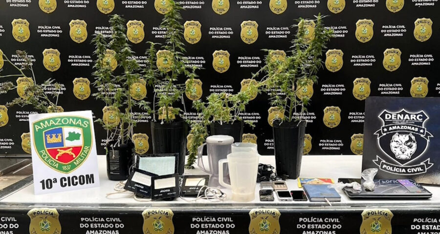 Polícia encontra plantação de maconha