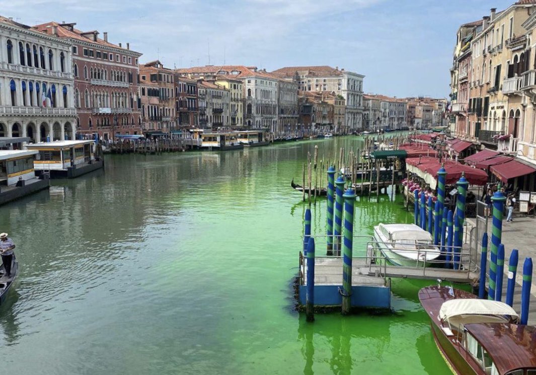 Canal de Veneza fica verde - Foto: Reprodução/Twitter@zaiapresidente