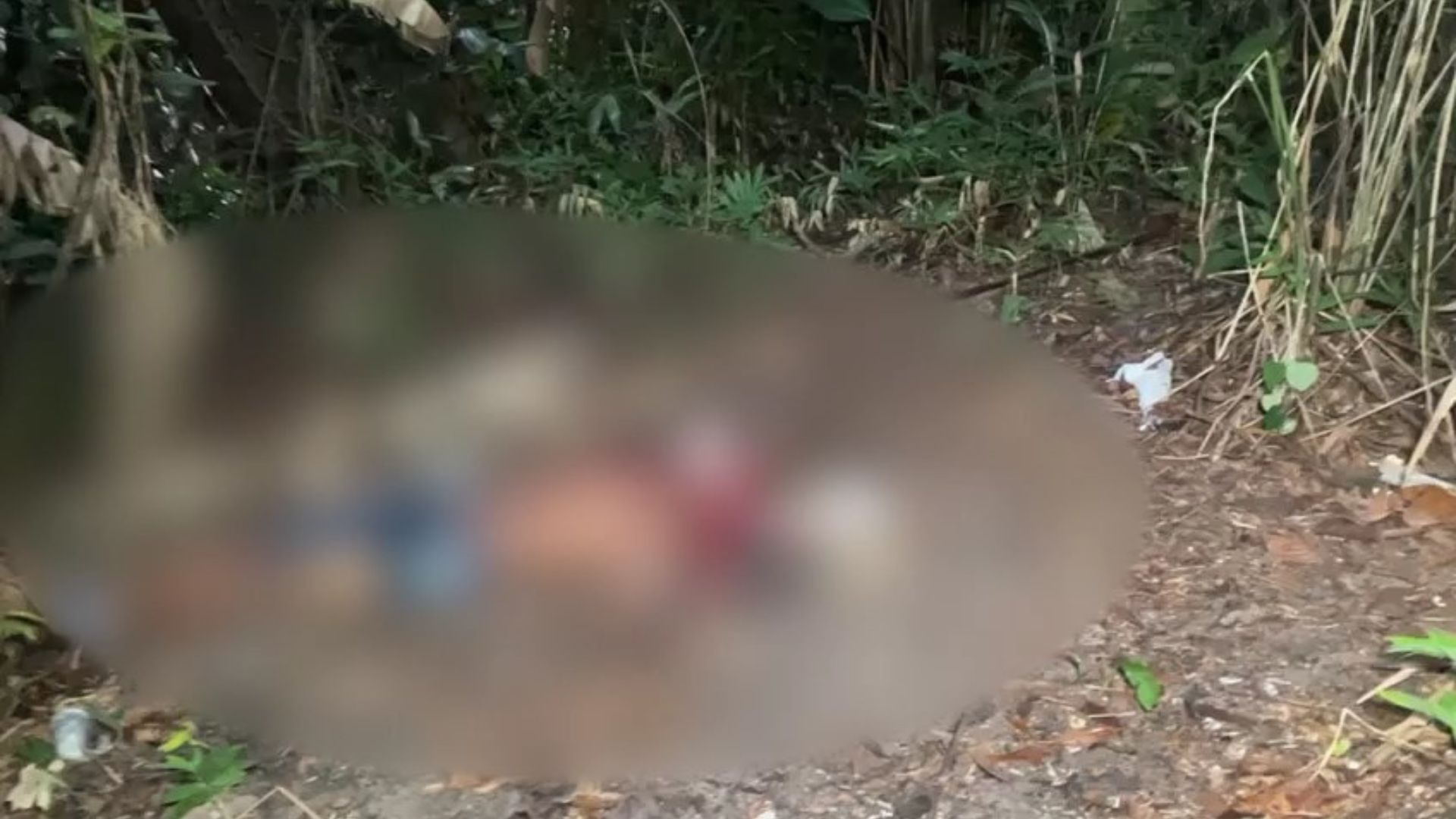 Homem foi jogado em uma área de mata - Foto: Reprodução/WhatsApp