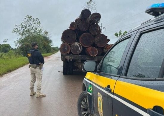 PRF flagra adolescente transportando madeira ilegal ao Sul de Roraima