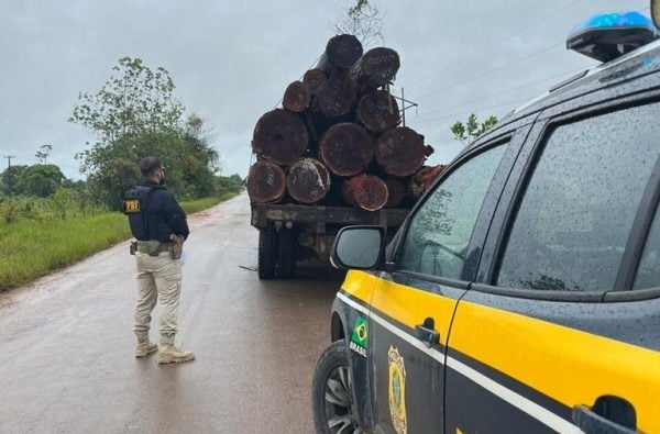 PRF flagra adolescente transportando madeira ilegal ao Sul de Roraima