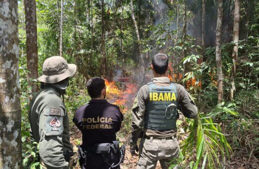 Destruição de aeronaves ocorreu na quinta-feira (4) - Foto: Divulgação/PF