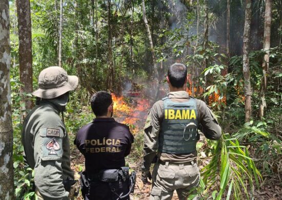 Destruição de aeronaves ocorreu na quinta-feira (4) - Foto: Divulgação/PF